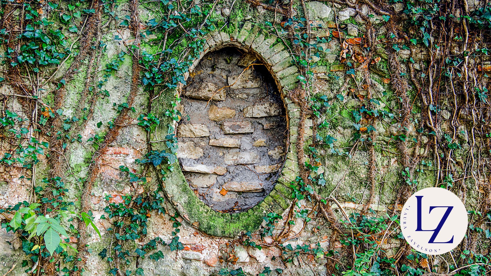 A niche in a tree representing a coaching niche